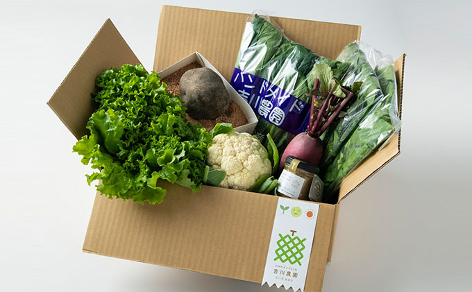 特産「加賀丸いも」入り季節の野菜とオリジナルバーニャカウダセット