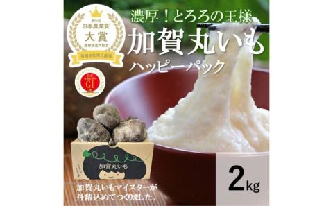 [日本農業賞大賞]加賀丸いもハッピーパック2kg(4〜6個)