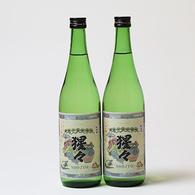 【野々市市の地酒】純米酒「猩々」720ml×2本セット【「冷や」でも「燗」でも】
