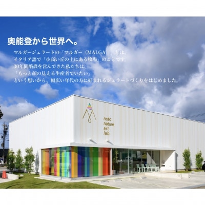 受賞・まるごと能登ジェラート12個【配送不可地域：離島】