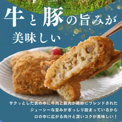 【能登牛×能登豚の旨み】粗びきメンチカツ80g×10個【配送不可地域：離島】