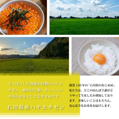 【さっぱりとした食感と甘み】石川県産ハナエチゼン 令和7年産玄米10kg(5kg×2袋)