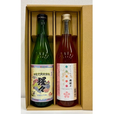 【野々市市の地酒】純米酒「猩々」と梅酒「梅猩々」お楽しみセット(各720ml　1本)