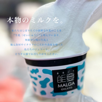 受賞・まるごと能登ジェラート12個【配送不可地域：離島】