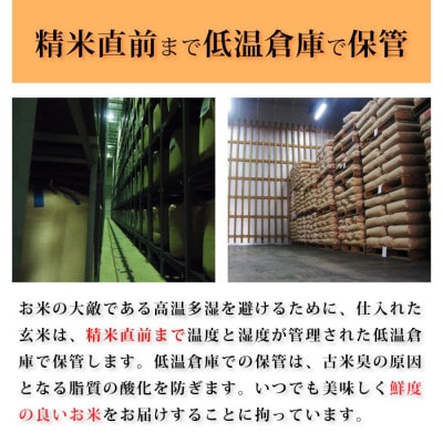 【炊きたての香りと甘みが広がる】石川県産コシヒカリ「能登米」令和7年産 精米5kg