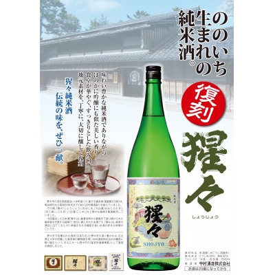 【野々市市の地酒】純米酒「猩々」と梅酒「梅猩々」お楽しみセット(各720ml　1本)