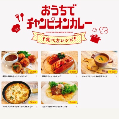 チャンピオンカレー　レトルトカレー中辛8個入り