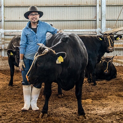 【温めるだけ!】石川県ブランド「能登豚」ひとくちハムカツ 計1.6kg (400g x 4パック)【配送不可地域：離島】