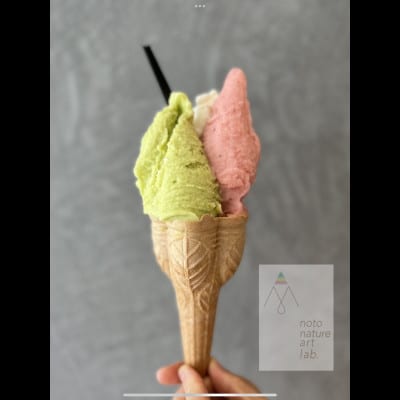 受賞・まるごと能登ジェラート8個【配送不可地域：離島】