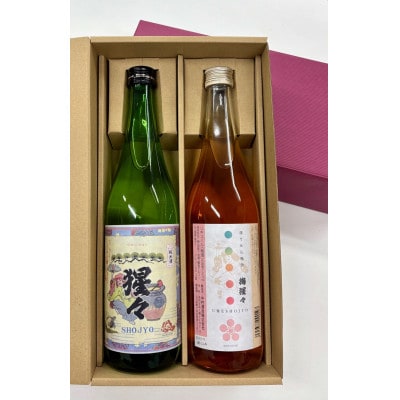 【野々市市の地酒】純米酒「猩々」と梅酒「梅猩々」お楽しみセット(各720ml　1本)