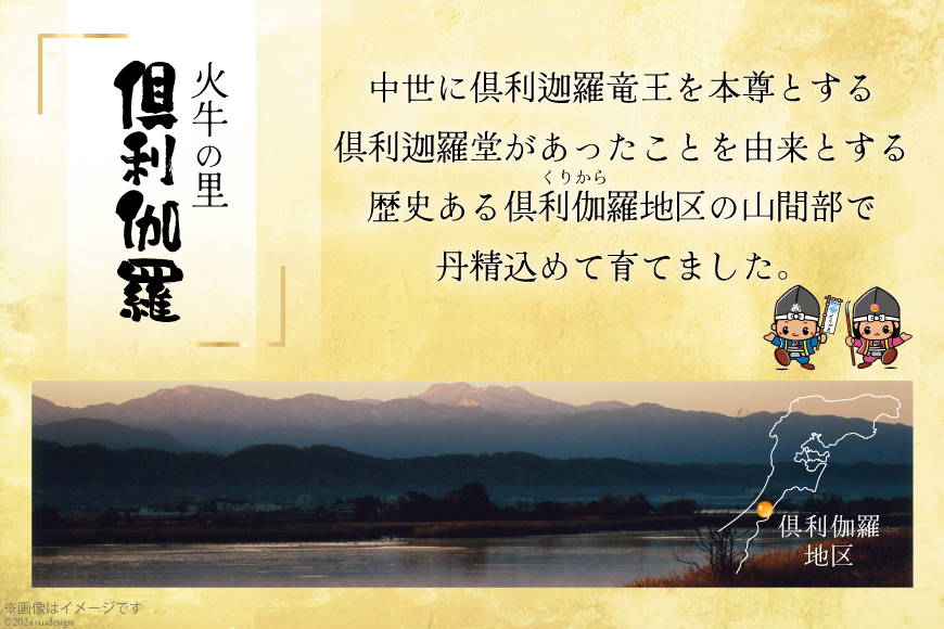 米 令和7年 火牛の里 倶利伽羅米 (特別栽培米) 5kg×1袋 [JA石川かほく 石川県 津幡町 tb17nir90050] お米 令和7年産 白米 ご飯 ごはん コメ こめ 家庭用 おこめ 精米
