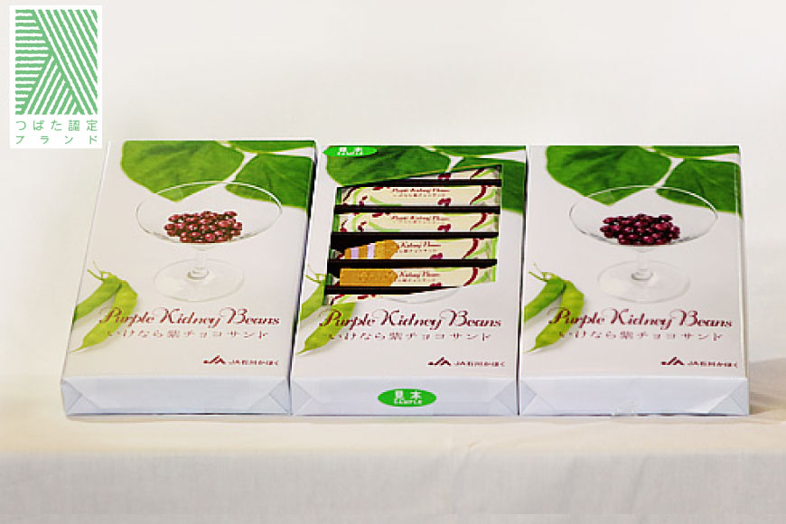 お菓子 個包装 いけなら紫 チョコサンド 16本入り× 3箱 [JA石川かほく 石川県 津幡町 28ab0016] チョコ チョコレート ちょこ 洋菓子