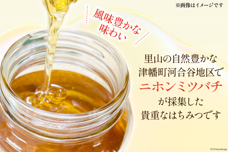 はちみつ 国産 純粋はちみつ 里山ひめみつ 250g×2 [里山養蜂 坂本稔 石川県 津幡町 tb17nir80003] 蜂蜜 ハチミツ ハニー 蜜 無調整
