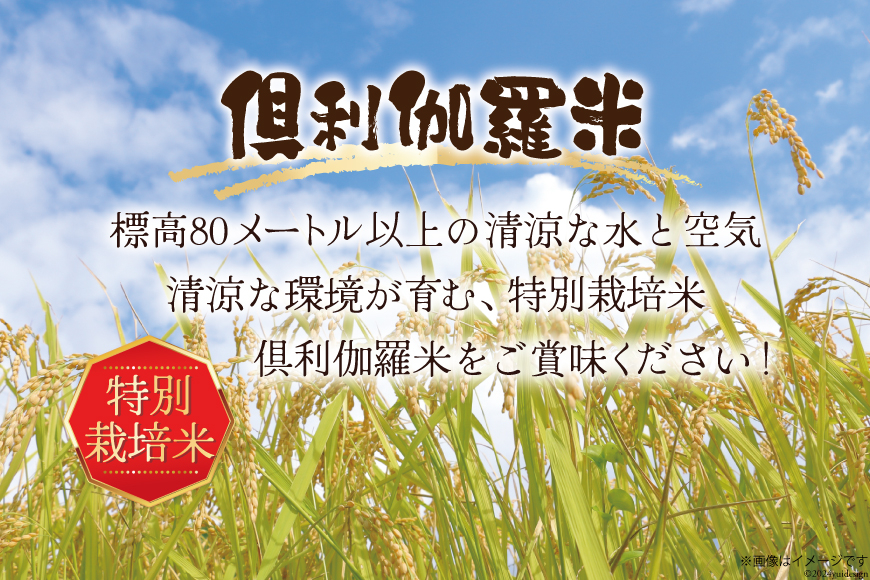 米 令和7年 火牛の里 倶利伽羅米 (特別栽培米) 5kg×1袋 [JA石川かほく 石川県 津幡町 tb17nir90050] お米 令和7年産 白米 ご飯 ごはん コメ こめ 家庭用 おこめ 精米