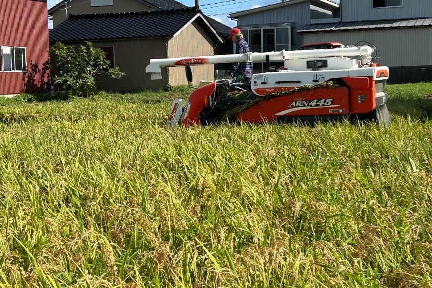 米 令和7年度産 特別栽培米 コシヒカリ 希夢良米 (きむらまい) 1升 (1.5kg)×真空6パック 計6升 (9kg) [木村農園 石川県 津幡町 tb17atf100005] コメ ごはん 真空パック 備蓄 長期保存 お米 白米 こしひかり パック