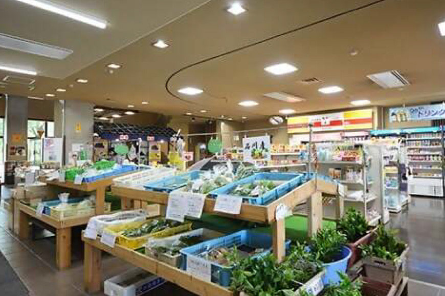 宿泊券 倶利伽羅塾 宿泊利用券 20,000円分 [津幡町役場 石川県 津幡町 28am0003] 温泉 宿 旅行 観光 能登