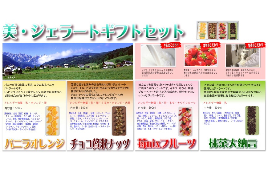 アイス 美・ジェラートギフトセット 500ml×4個 [アーリオ・オーリオ 石川県 津幡町 28ae0002] アイスクリーム ジェラート スイーツ デザート 詰め合わせ セット バニラ オレンジ チョコ ナッツ 苺 抹茶 小豆 大納言