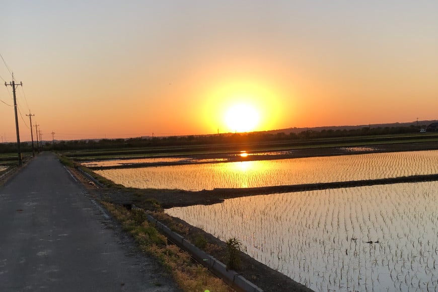 米 令和7年度産 特別栽培米 コシヒカリ 希夢良米 (きむらまい) 1升 (1.5kg)×真空3パック 計3升 (4.5kg) [木村農園 石川県 津幡町 tb17atf100006] コメ ごはん 真空パック 備蓄 長期保存 お米 白米 こしひかり パック