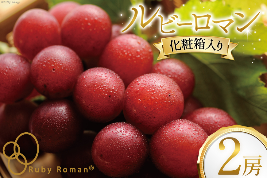 【期間限定発送】ぶどう ルビーロマン 2房 [JA石川かほく 石川県 津幡町 28ab0002] ブドウ 葡萄 フルーツ 果物 くだもの デザート 手土産 先行受付 冷蔵 果実