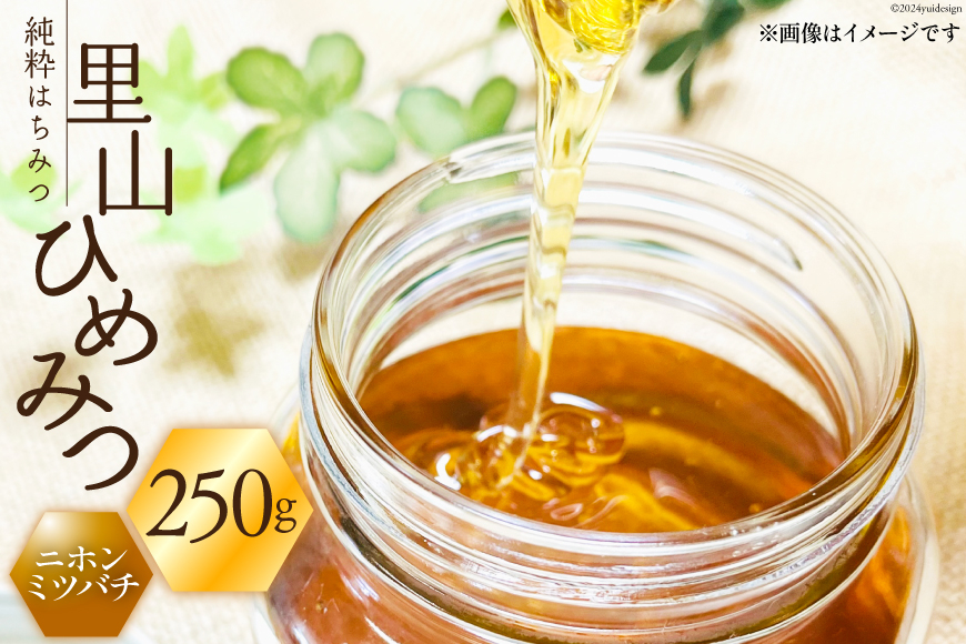 はちみつ 国産 純粋はちみつ 里山ひめみつ 250g×1 [里山養蜂 坂本稔 石川県 津幡町 tb17nir80002] 蜂蜜 ハチミツ ハニー 蜜 無調整