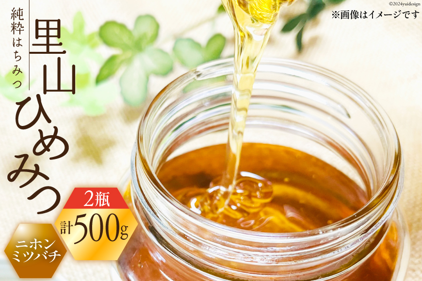 はちみつ 国産 純粋はちみつ 里山ひめみつ 250g×2 [里山養蜂 坂本稔 石川県 津幡町 tb17nir80003] 蜂蜜 ハチミツ ハニー 蜜 無調整