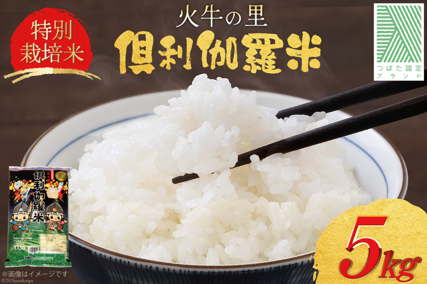 米 令和7年 火牛の里 倶利伽羅米 (特別栽培米) 5kg×1袋 [JA石川かほく 石川県 津幡町 tb17nir90050] お米 令和7年産 白米 ご飯 ごはん コメ こめ 家庭用 おこめ 精米
