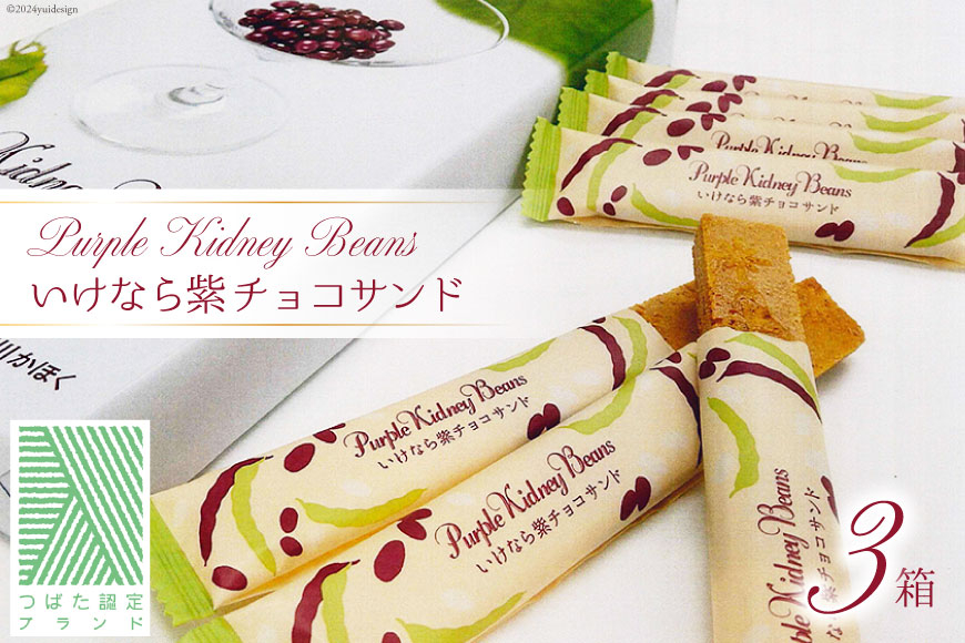 お菓子 個包装 いけなら紫 チョコサンド 16本入り× 3箱 [JA石川かほく 石川県 津幡町 28ab0016] チョコ チョコレート ちょこ 洋菓子