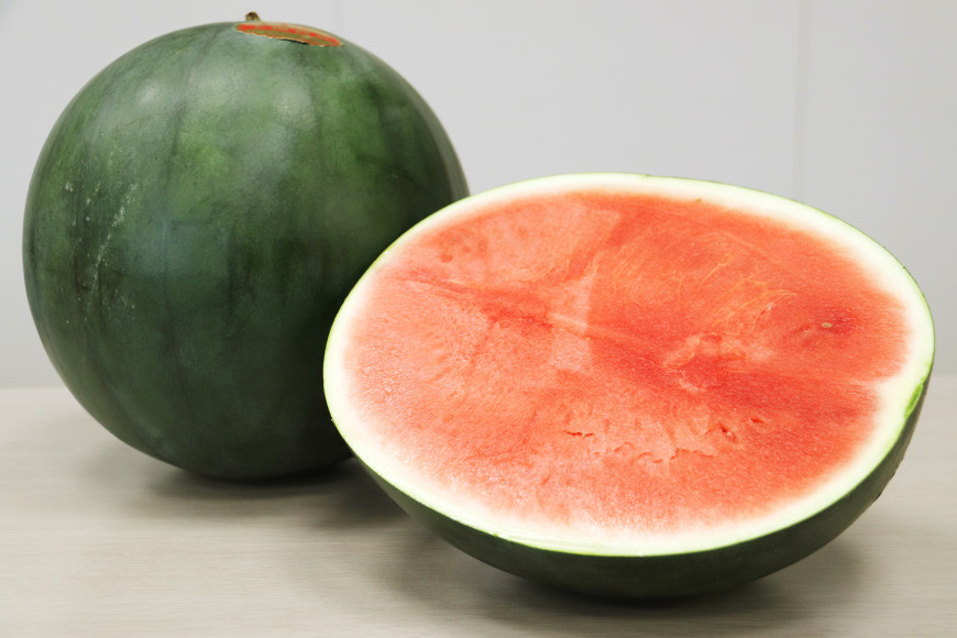 【期間限定】黒皮 スイカ（赤色）8kg以上 x 1玉 種が少なめ [米吉農園 石川県 志賀町 BA4113] すいか 西瓜 果物 フルーツ 野菜