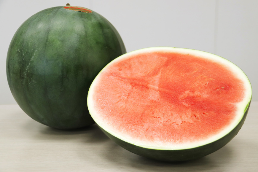 【期間限定】黒皮 スイカ ( 赤色 ) 5kg ～ 7kg x 2玉 種が少なめ [米吉農園 石川県 志賀町 BA4114] すいか 西瓜 果物 フルーツ 野菜