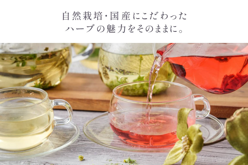 ハーブティー バラエティーパック 6個入り [Mary Jimenez 石川県 志賀町 CK3063] ティーバッグ 詰め合わせ ティーパック ひも付き