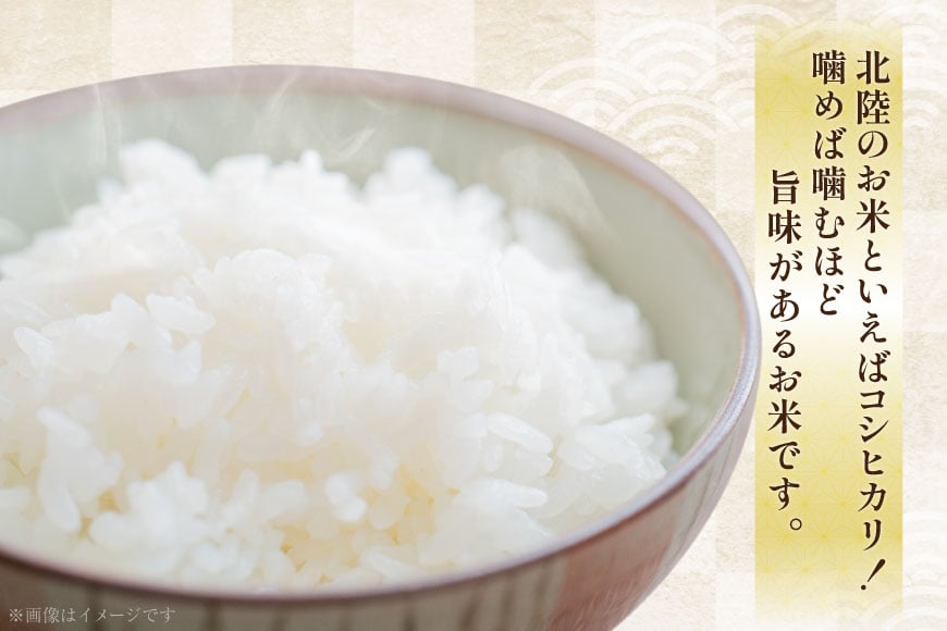 米 定期便 令和7年度産 3回 コシヒカリ 精米 5kg 計15kg [YUファーム 石川県 志賀町 CL5002] ご飯 お米 コメ 白米 こしひかり 能登 おこめ こめ 定期
