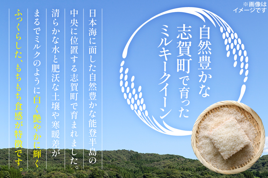 米 令和7年産 ミルキークイーン 精米 5kg [能登ファーム志賀 石川県 志賀町 CH4008] コメ こめ ご飯 ごはん 白米 令和7年 お米 精米 能登 5キロ