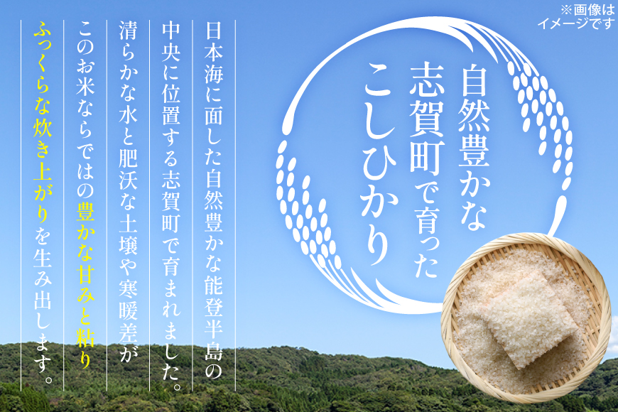 米 令和7年産 コシヒカリ 精米 5kg [能登ファーム志賀 石川県 志賀町 CH4011] コメ こめ ご飯 ごはん 白米 令和7年 こしひかり お米 精米 能登 5キロ