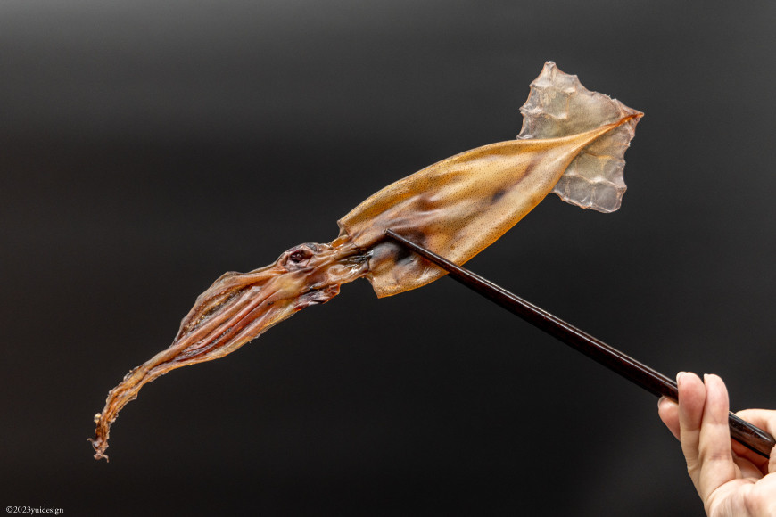 干物 丸干しいか 5～10枚 白化粧箱入り [西海水産 石川県 志賀町 AB4127] 海産物 いか イカ 丸干し もみいか おつまみ 酒の肴 おかず 冷凍 日本海 石川県産