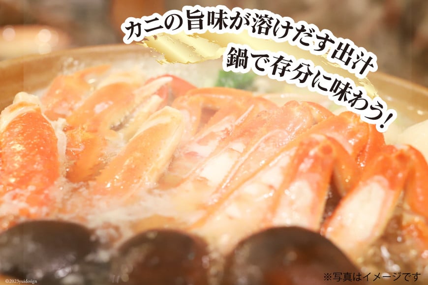 【能登半島 漁協直送！】活 加能ガニ 1尾(大サイズ)計 700g 前後[JF西海 石川県 志賀町 AM4225] 蟹 カニ かに ズワイガニ