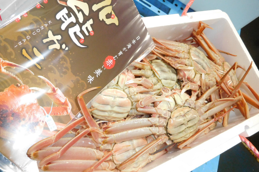 【期間限定発送】【能登半島 漁協直送！】ボイル済 香箱ガニ 5尾[JF西海 石川県 志賀町 AM4227] 蟹 カニ かに ズワイガニ セコガニ メス 内子