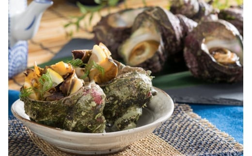 【能登半島 漁協直送！】活 サザエ 計 5kg 前後[JF西海 石川県 志賀町 AM4235] さざえ サザエ 魚介 海鮮 浜焼き つぼ焼き バーベキュー