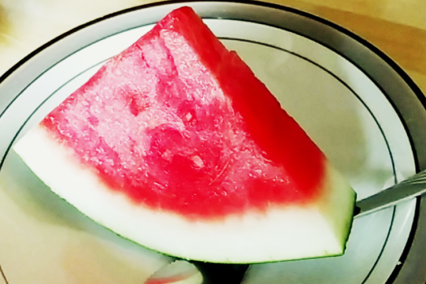 【期間限定】黒皮 スイカ ( 赤色 ) 5kg ～ 7kg x 2玉 種が少なめ [米吉農園 石川県 志賀町 BA4114] すいか 西瓜 果物 フルーツ 野菜