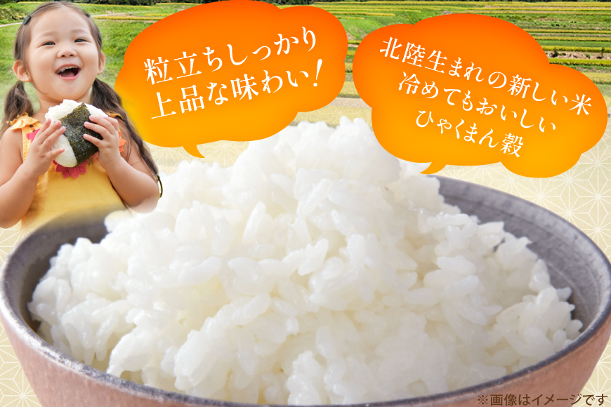 米 令和7年産 ひゃくまん穀 精米 5kg [能登ファーム志賀 石川県 志賀町 CH4005] コメ こめ ご飯 ごはん 白米 令和7年 お米 精米 能登 5キロ