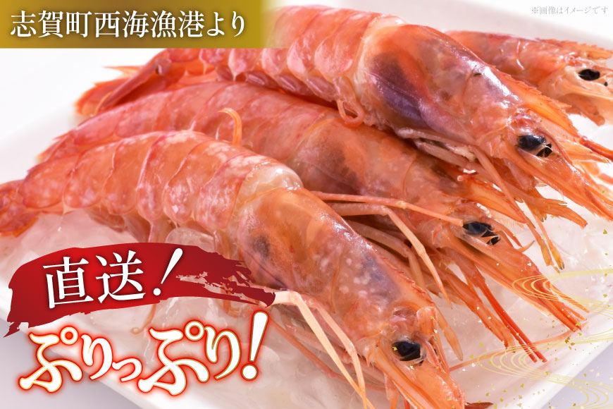甘エビ 冷蔵 800g [小川水産 石川県 志賀町 CM6006] 甘えび あまえび エビ 海老 甘海老