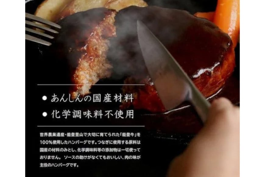 能登牛 100% グリルドハンバーグ 140g 4個 [てらおか風舎（寺岡畜産株式会社） 石川県 志賀町 AA4284] 冷凍 湯煎 てらおか