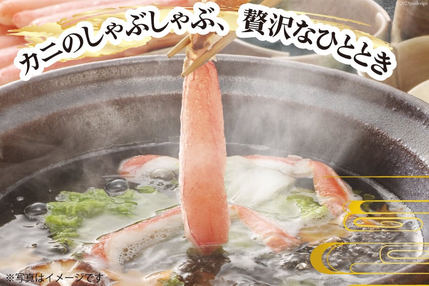 【能登半島 漁協直送！】活 加能ガニ 1尾(大サイズ)計 700g 前後[JF西海 石川県 志賀町 AM4225] 蟹 カニ かに ズワイガニ