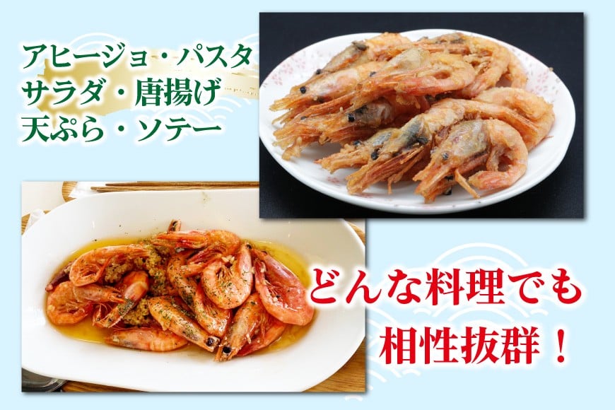 【能登半島 漁協直送！】活〆 甘エビ 100尾 [JF西海 石川県 志賀町 AM4233] エビ 味噌 アヒージョ 殻ごと