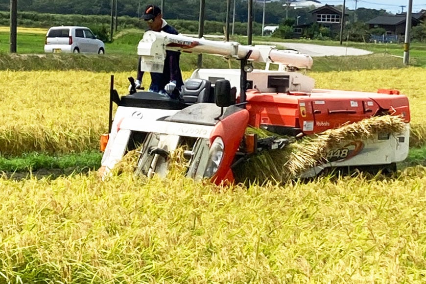 米 定期便 令和7年度産 3回 コシヒカリ 精米 5kg 計15kg [YUファーム 石川県 志賀町 CL5002] ご飯 お米 コメ 白米 こしひかり 能登 おこめ こめ 定期