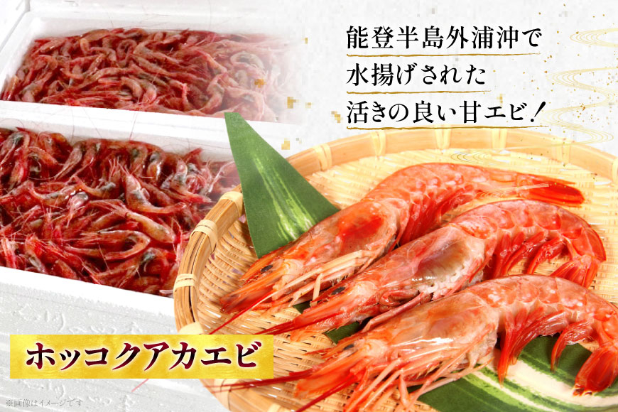 甘エビ 冷蔵 400g [小川水産 石川県 志賀町 CM6009] 甘えび あまえび エビ 海老 甘海老