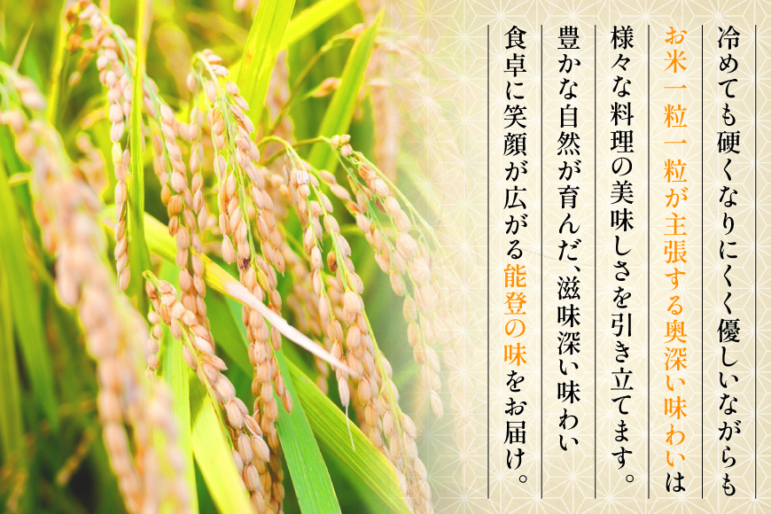 米 令和7年産 ミルキークイーン 精米 5kg [能登ファーム志賀 石川県 志賀町 CH4008] コメ こめ ご飯 ごはん 白米 令和7年 お米 精米 能登 5キロ