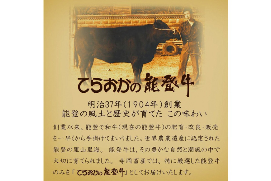 てらおか風舎の特選能登牛100%ハンバーグ 120g×5個 [てらおか風舎（寺岡畜産） 石川県 志賀町 AA4199] 肉 能登牛 ハンバーグ 5個 デミグラスソース付き 化粧箱入り
