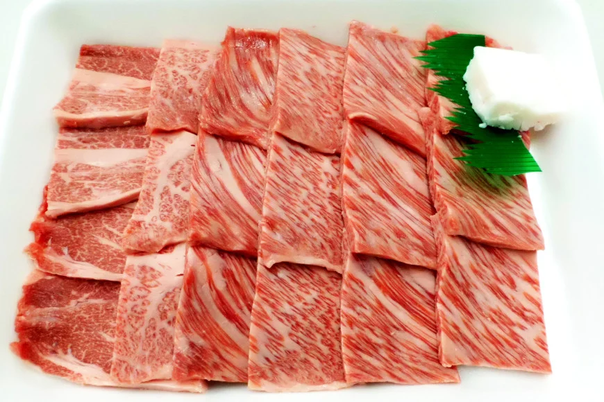 【てらおかの能登牛】 能登牛 肩ロース (4〜5等級) 焼肉用 (450g) [てらおか風舎（寺岡畜産株式会社） 石川県 志賀町 AA4285] 肉 牛肉 能登牛 肩ロース ロース 焼肉用 450グラム