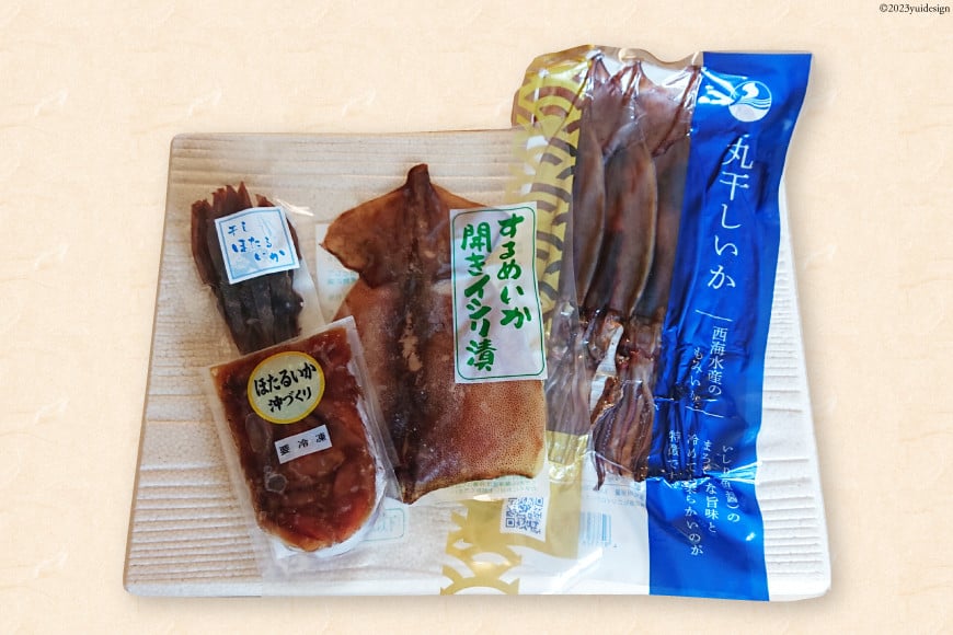 能登の魚醤いしり使用「いかづくし」 [西海水産 石川県 志賀町 AB4131] いか イカ おつまみ もみいか 干しいか ほたるいか 手作り 詰合せ セット