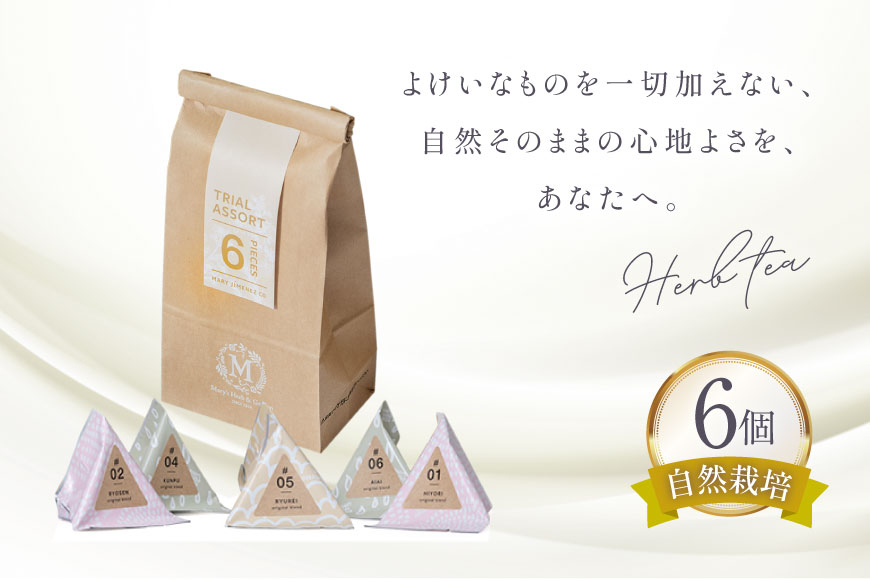 ハーブティー バラエティーパック 6個入り [Mary Jimenez 石川県 志賀町 CK3063] ティーバッグ 詰め合わせ ティーパック ひも付き